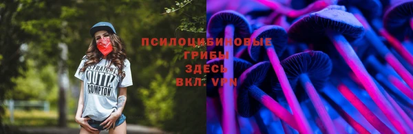 Альфа ПВП Абаза