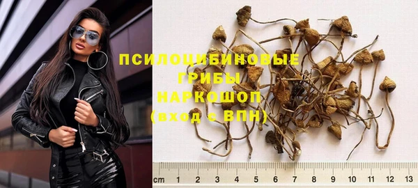 Альфа ПВП Абаза